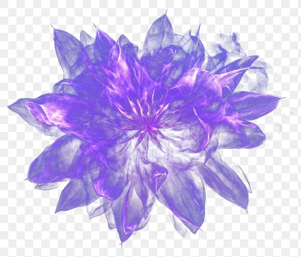 PNG Firework purple flower illustration accessories.