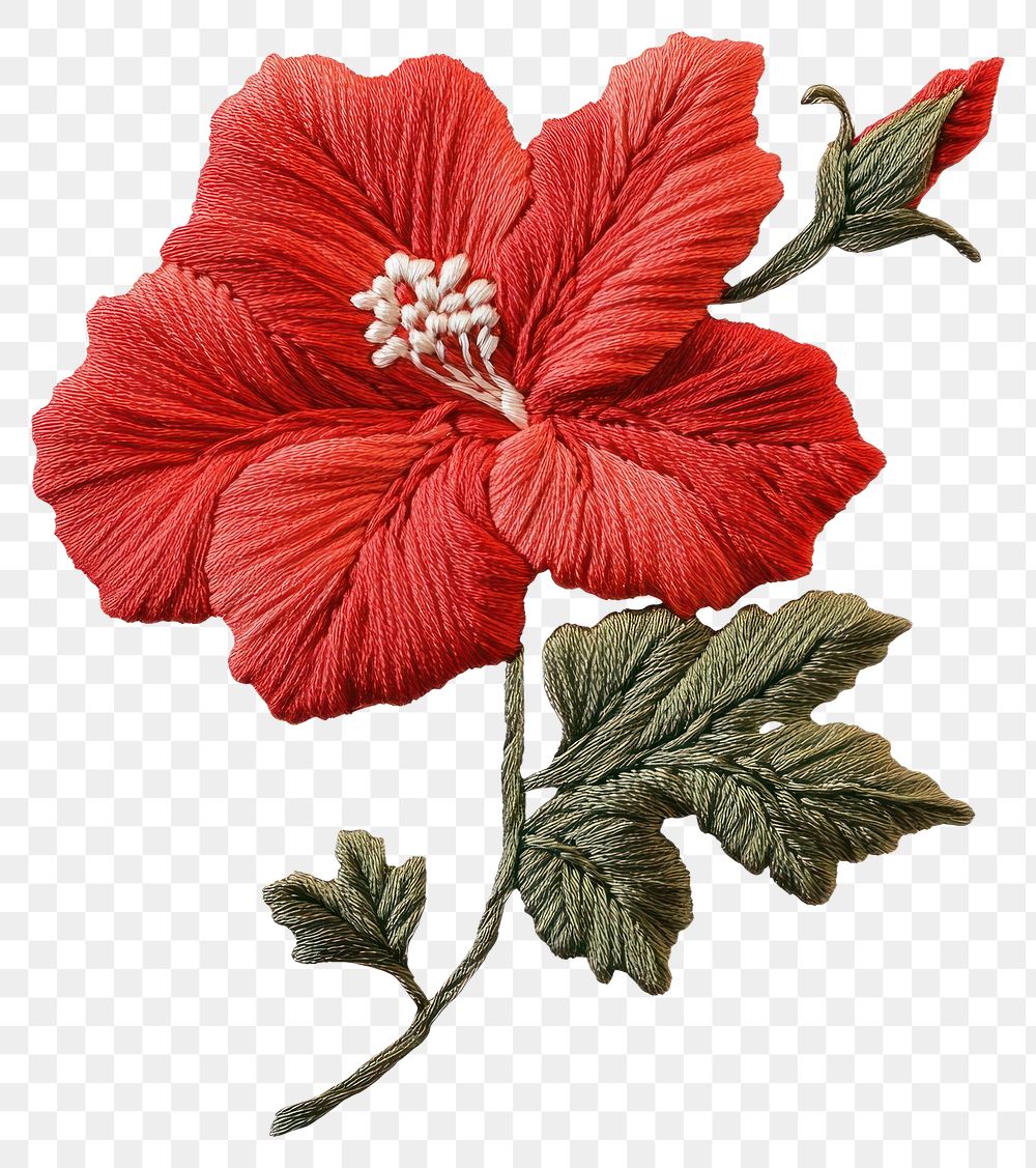 PNG Embroidery red flower hibiscus illustration decorative.