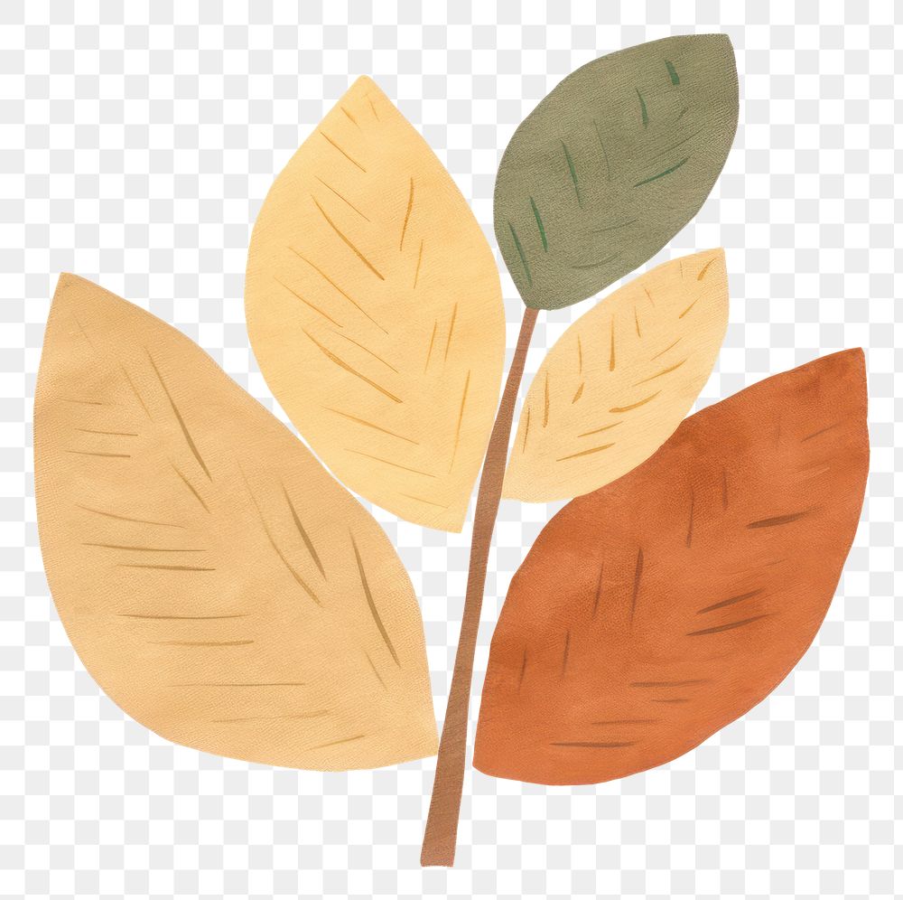 PNG Plant leaves leaf illustration colorful.