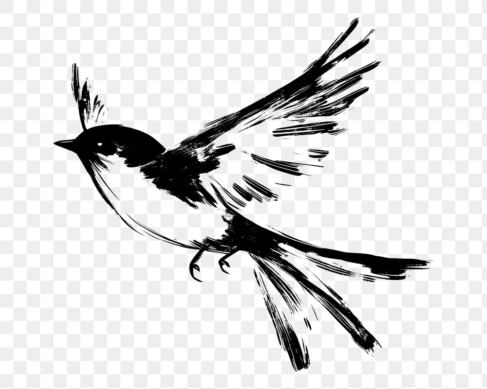 PNG Bird drawing black white.