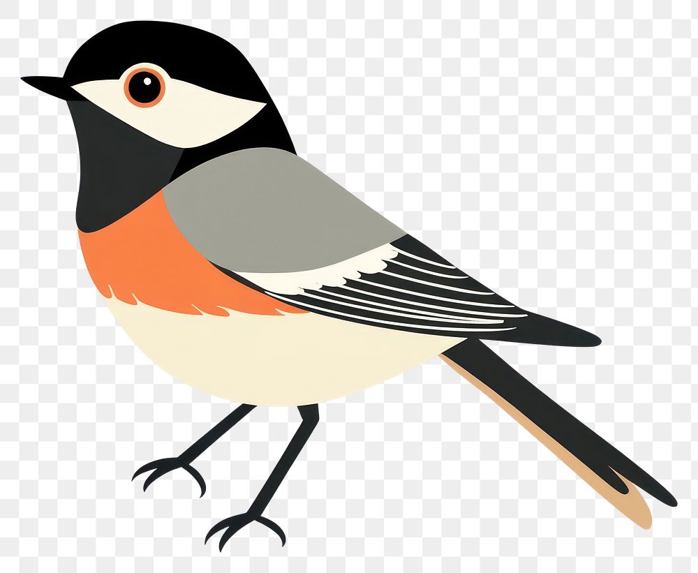 PNG Bird illustration vector art.