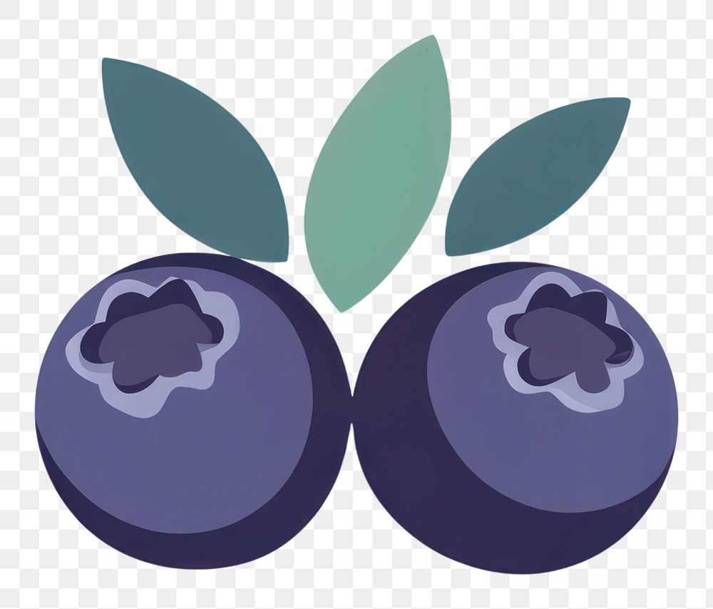 PNG Blueberries blueberry illustration simple.