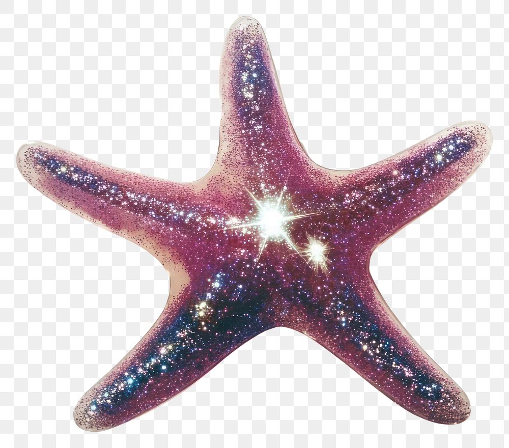 PNG Photography glitter starfish invertebrate sparkling glittery.