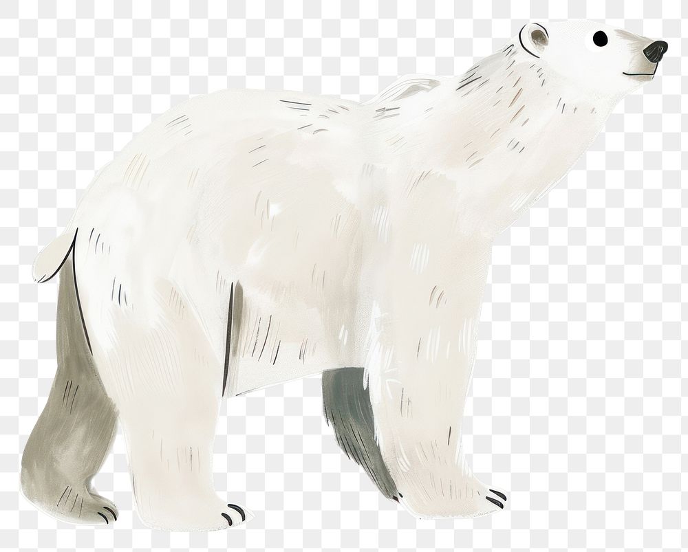 PNG Cute polar bear illustration wildlife animal art.