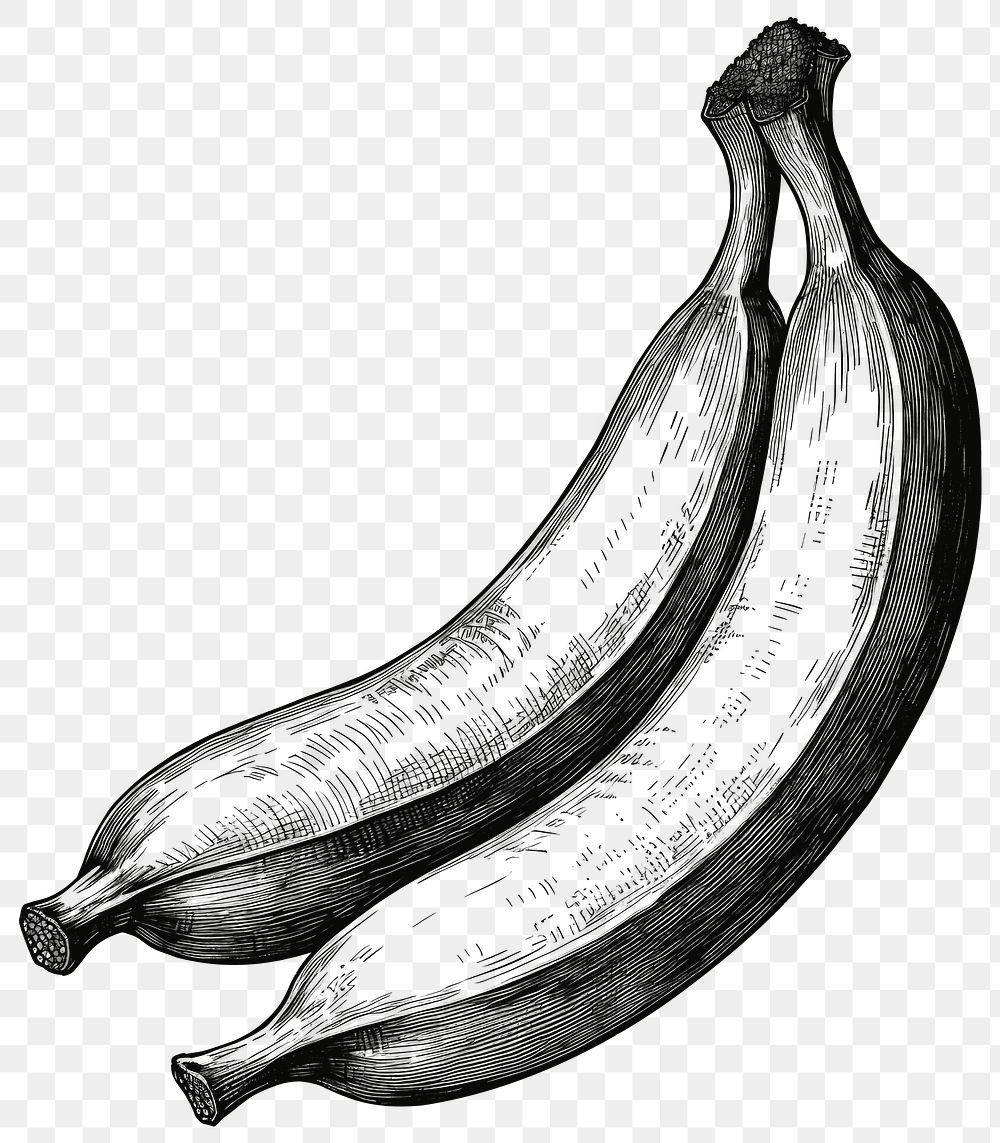 PNG Banana fruit black white.