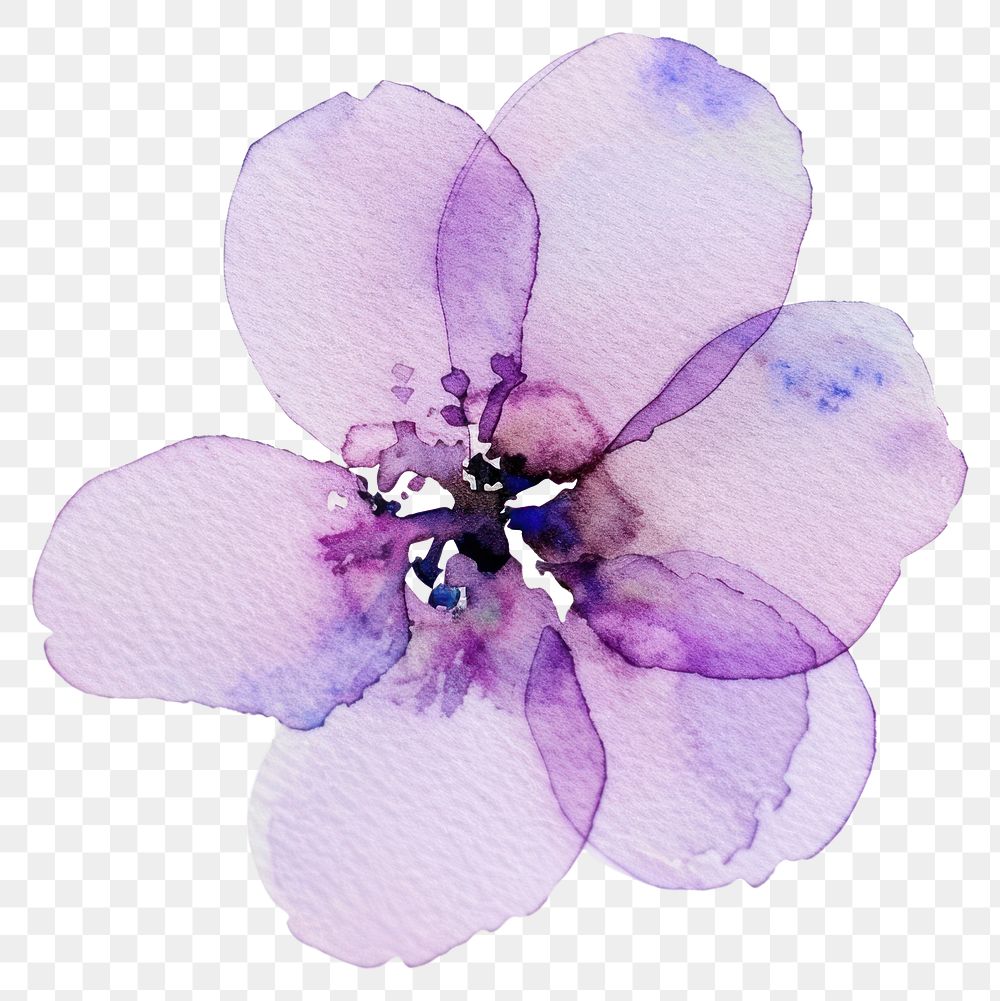 PNG Tiny purple flower watercolor petal illustration.