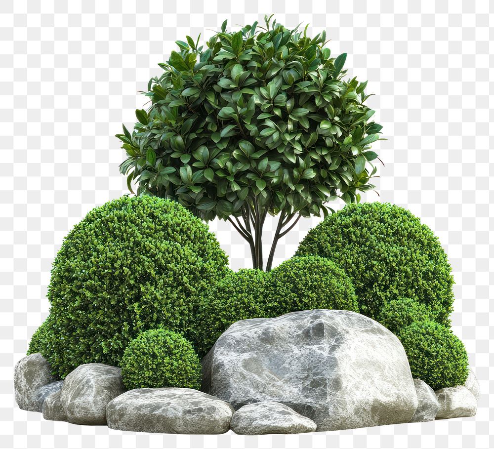 PNG Plants garden hedge rocks.