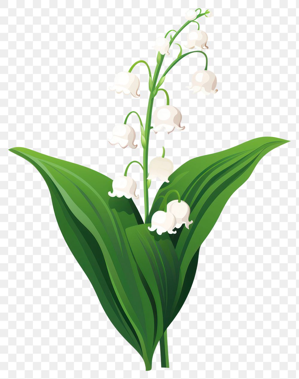 PNG Lily of the Valley playful illustration flower valley.