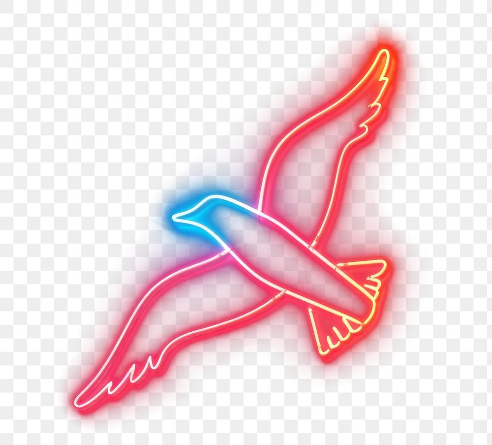 PNG Seagull icon neon lights silhouette.