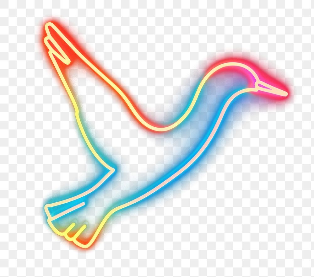 PNG Seagull icon neon lights silhouette.