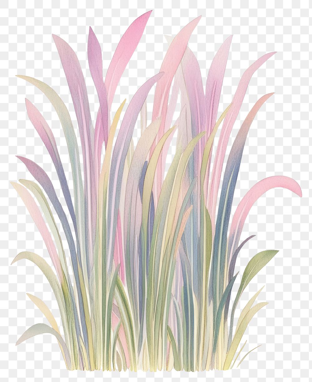 PNG Easter Grass grass colorful colors.