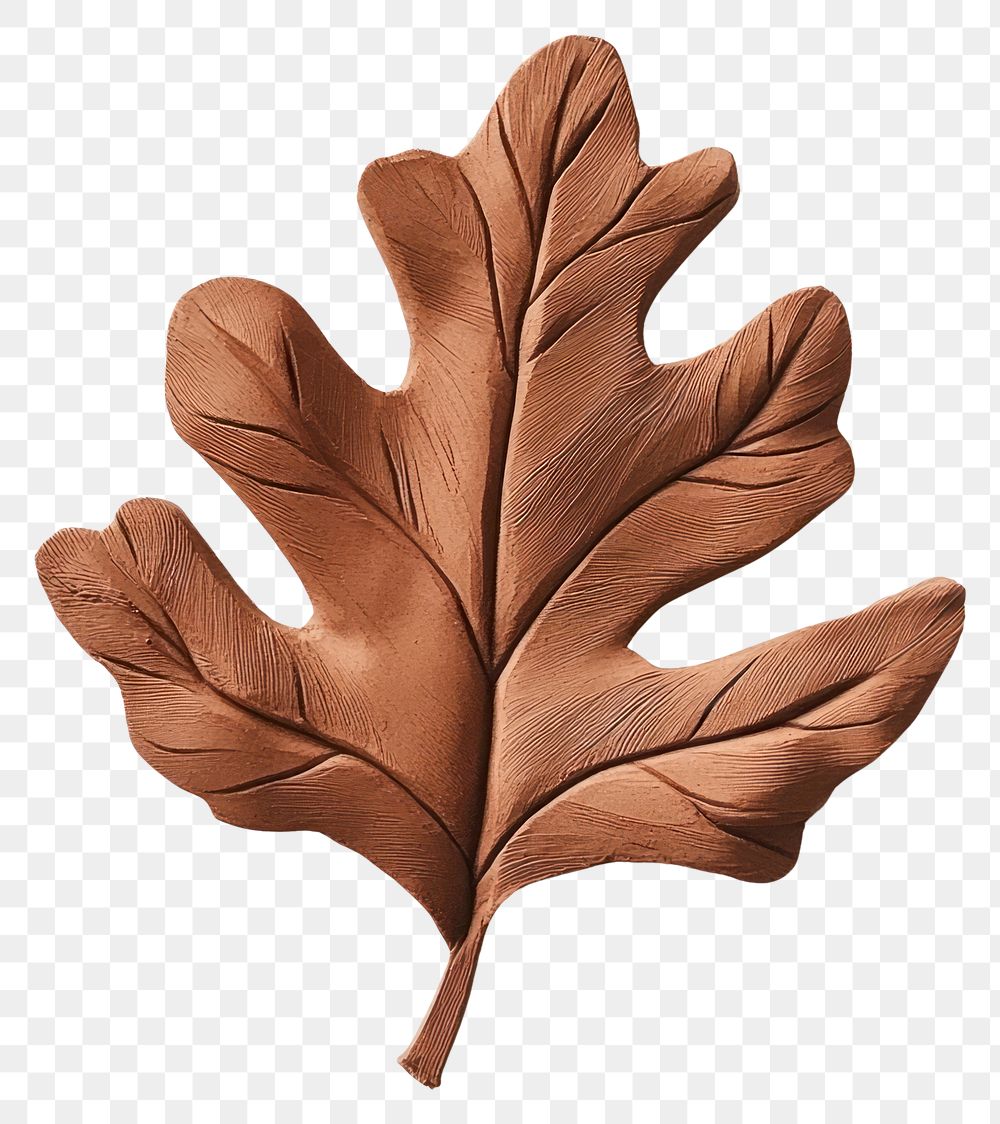 PNG Oak leaf clay handcrafted decorative.