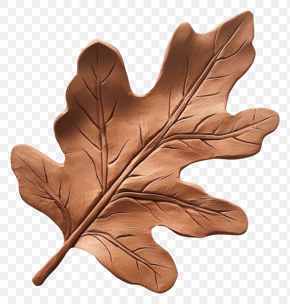 PNG Oak leaf clay nature-inspired handcrafted.