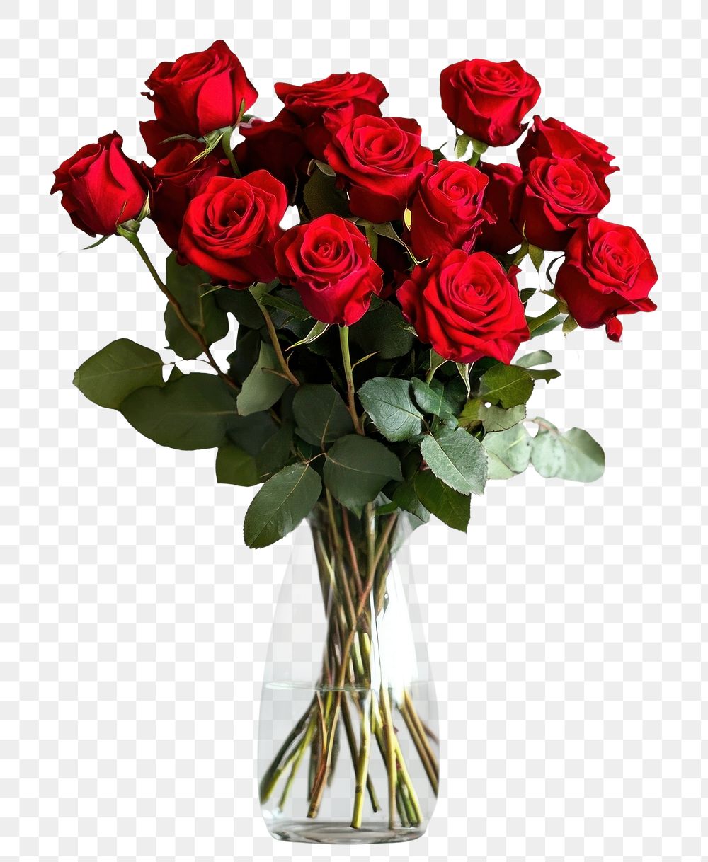 PNG Big bouquet of blossoming fresh red roses and with green leaves in a glass vase with water half vase flower arrangement…