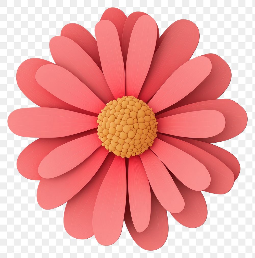 PNG Daisy illustration graphic flower.