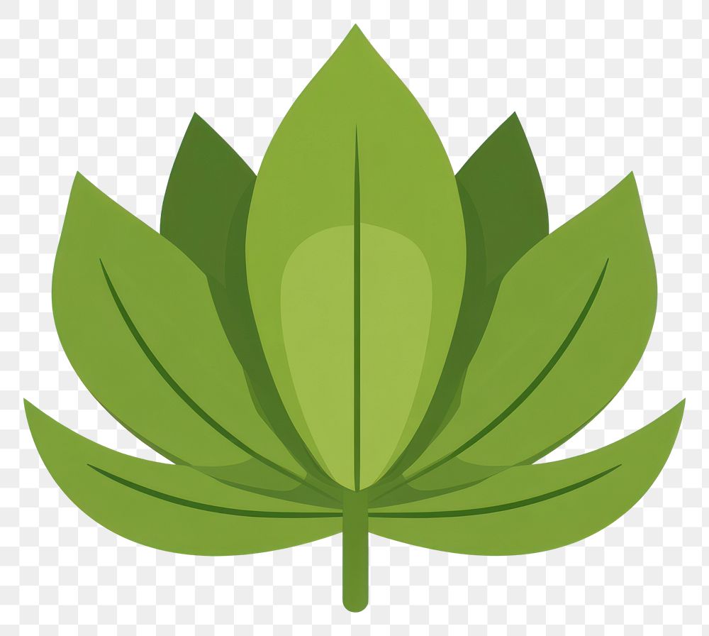 PNG Green lotus leaf illustration plant eco-friendly.