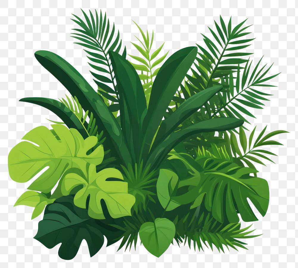 PNG Jungle foliage bush green illustration nature.