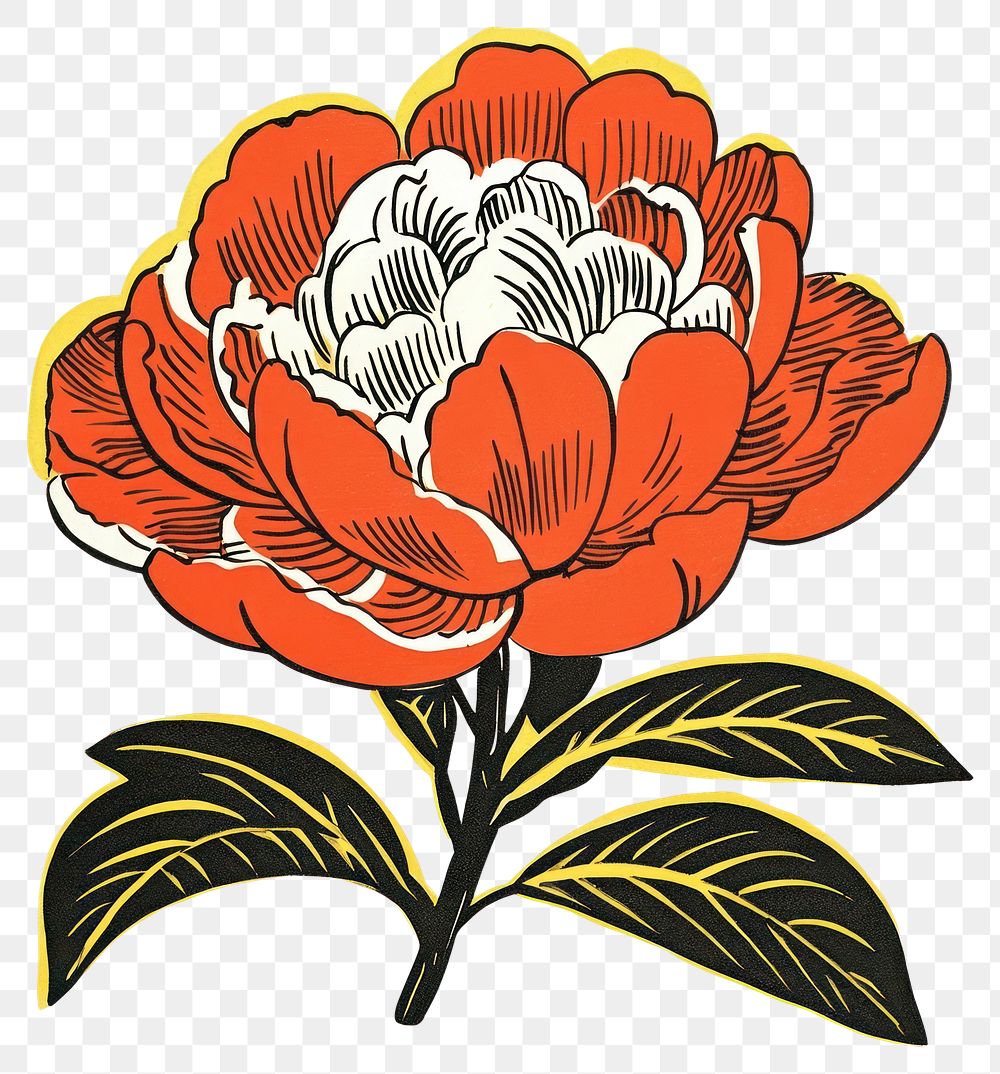 PNG Chinese peony flower plant art.