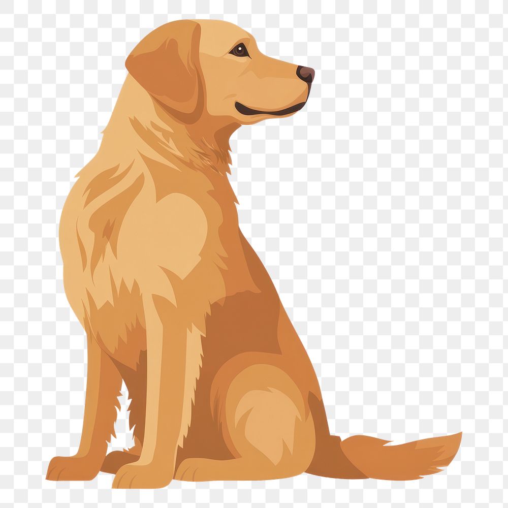 PNG Golden Retriever dog illustration retriever animal.