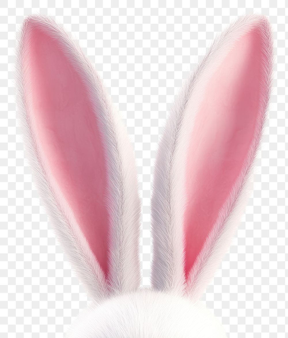 PNG White rabbit ears bunny animal white.