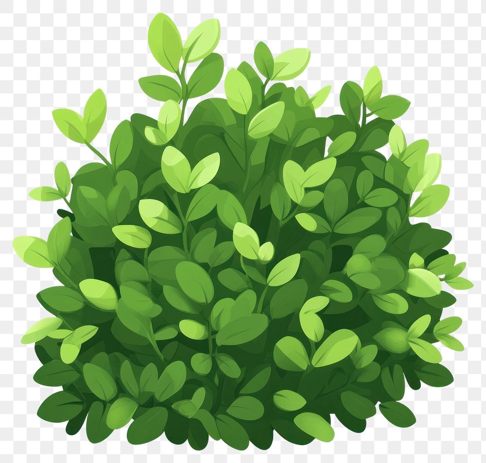 PNG A bush illustration green plant.