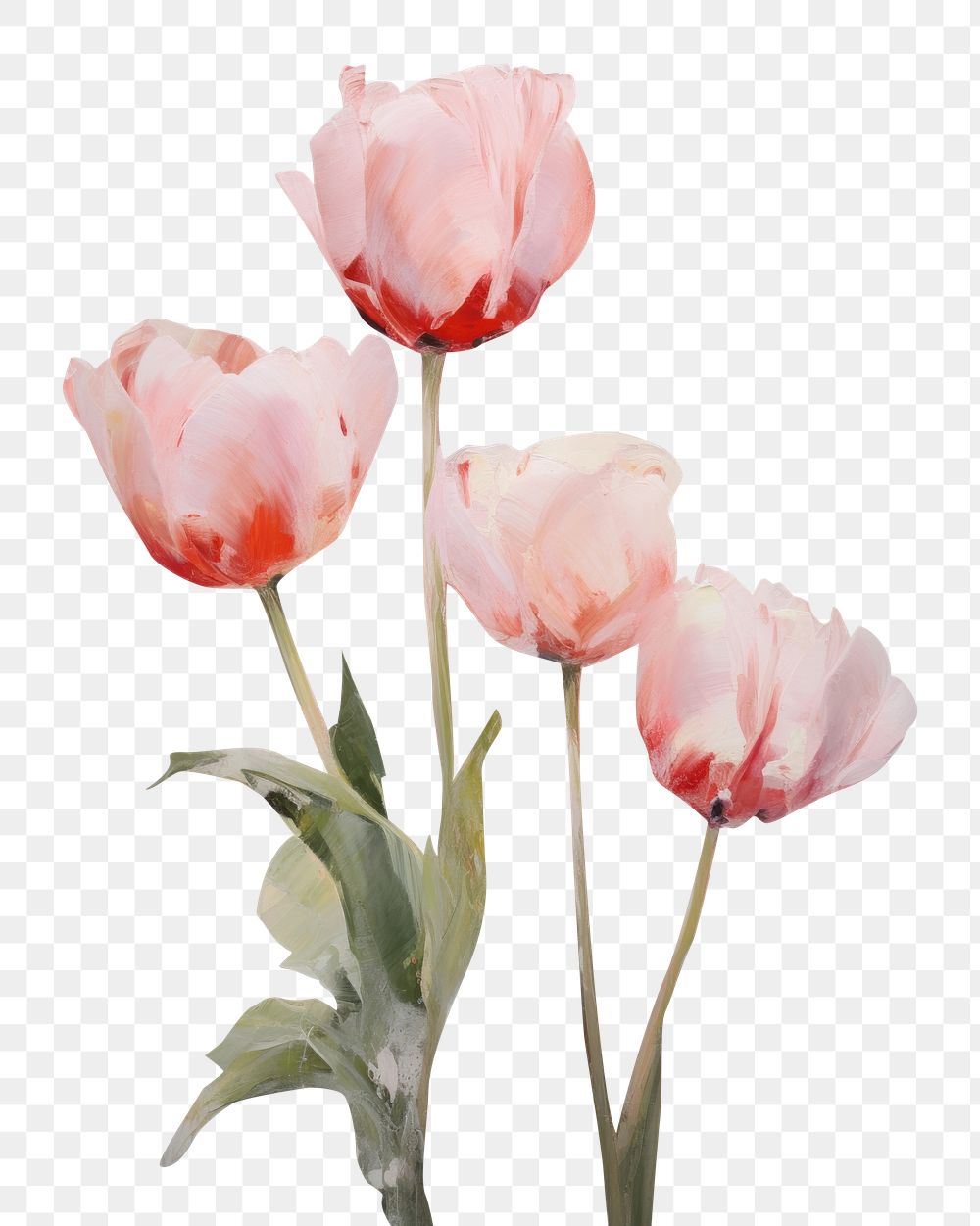 PNG Painting of pink tulips pastels flowers colors.