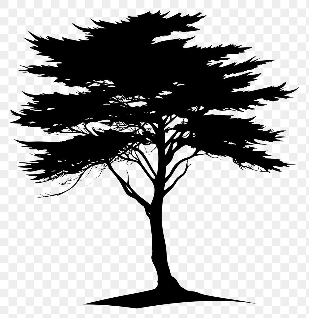 PNG Cypress tree silhouette illustration black.