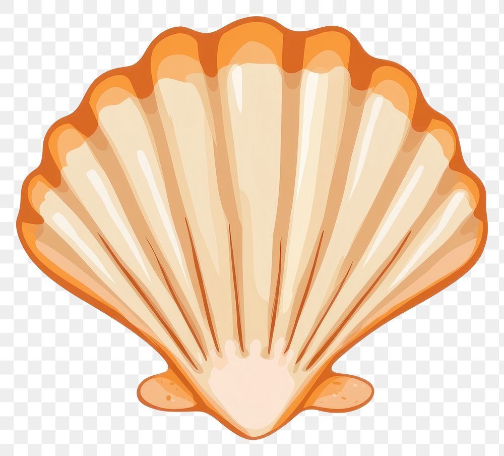 PNG Scallop illustration seashell art.