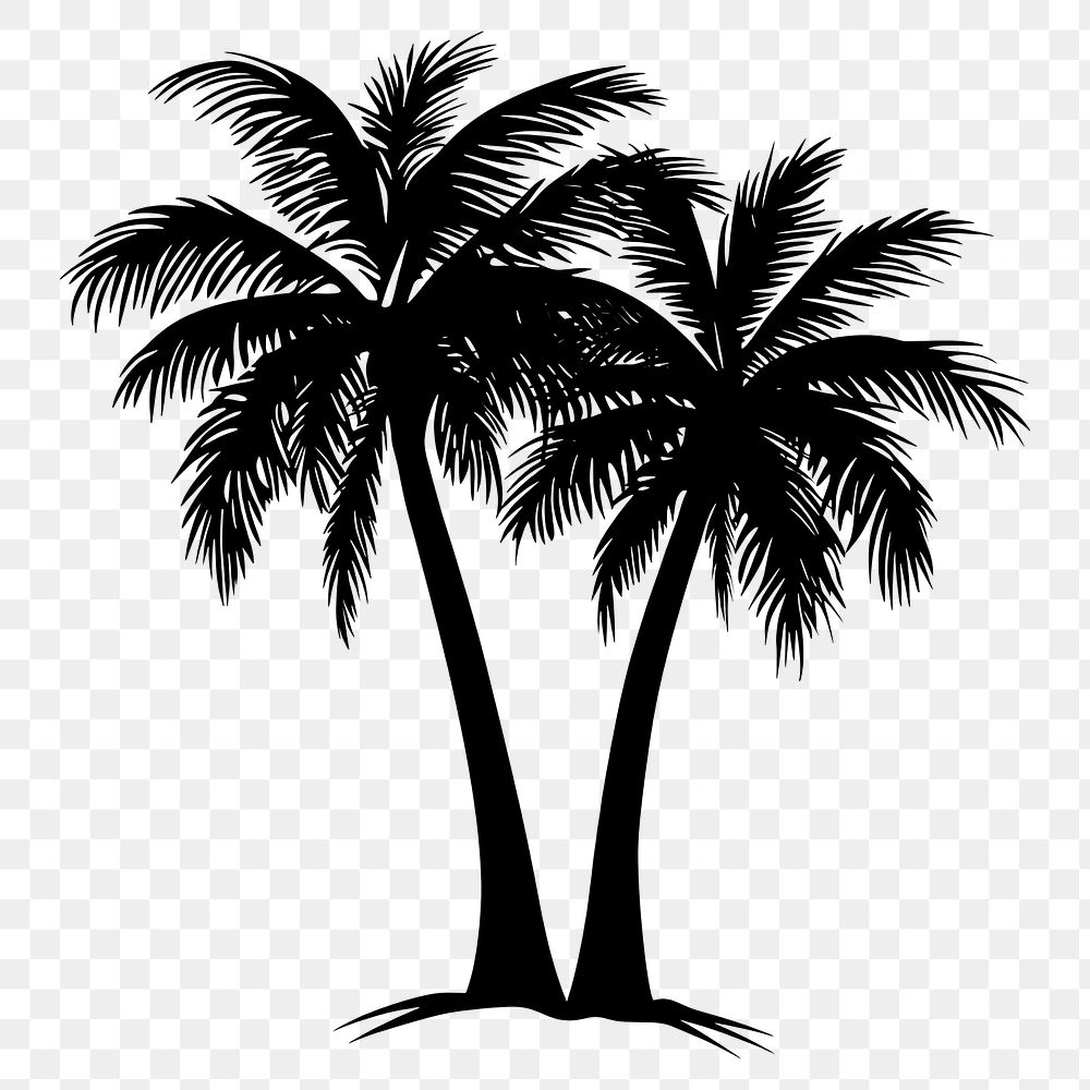 PNG Silhouette coconut tree art illustration arecaceae.