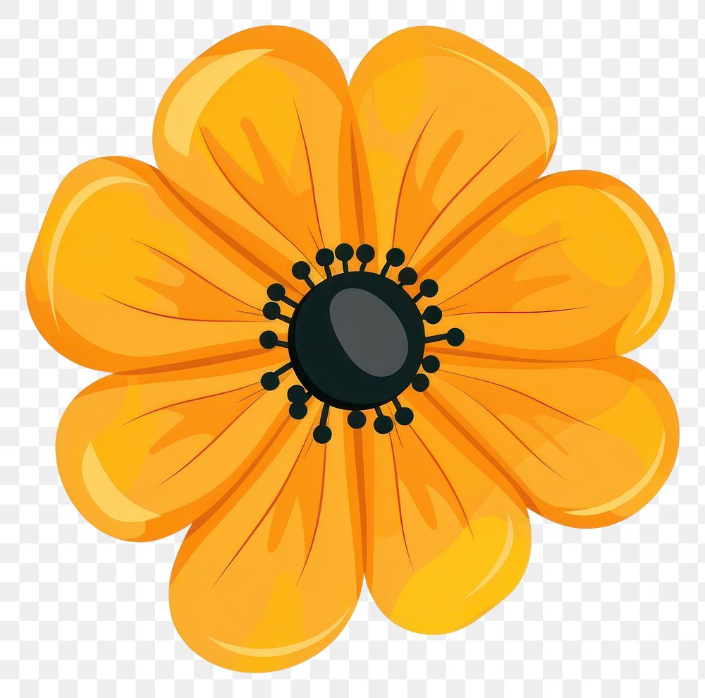 PNG Orange flower illustration petals floral.