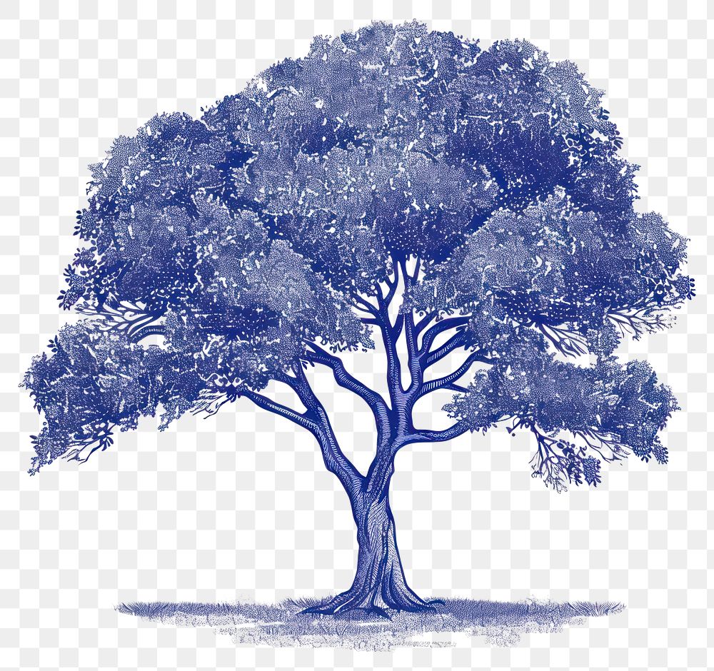 PNG Blue vector hand drawn tree drawing vintage nature.