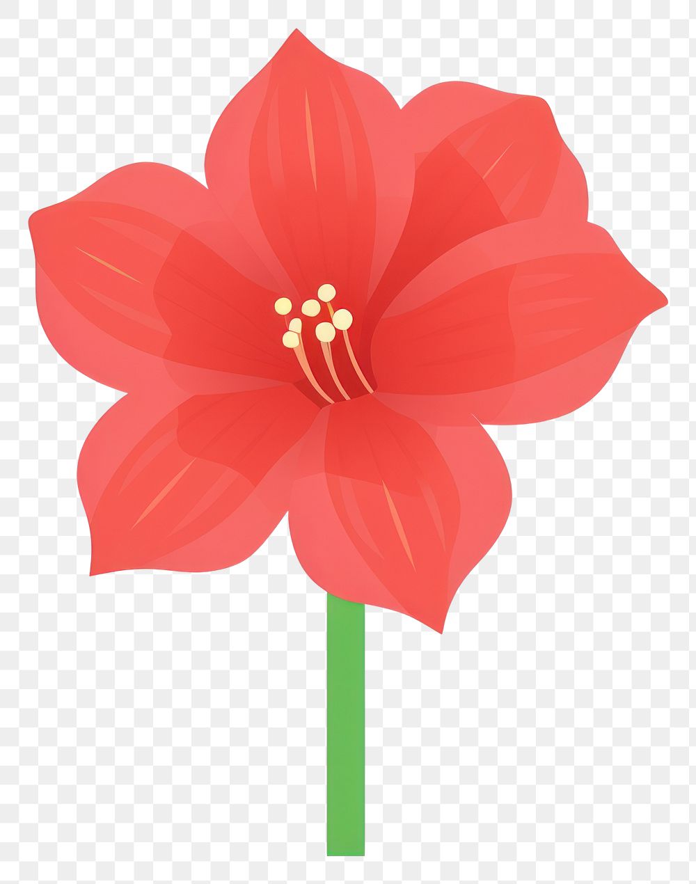 PNG Amaryllis flower amaryllis illustration plant.