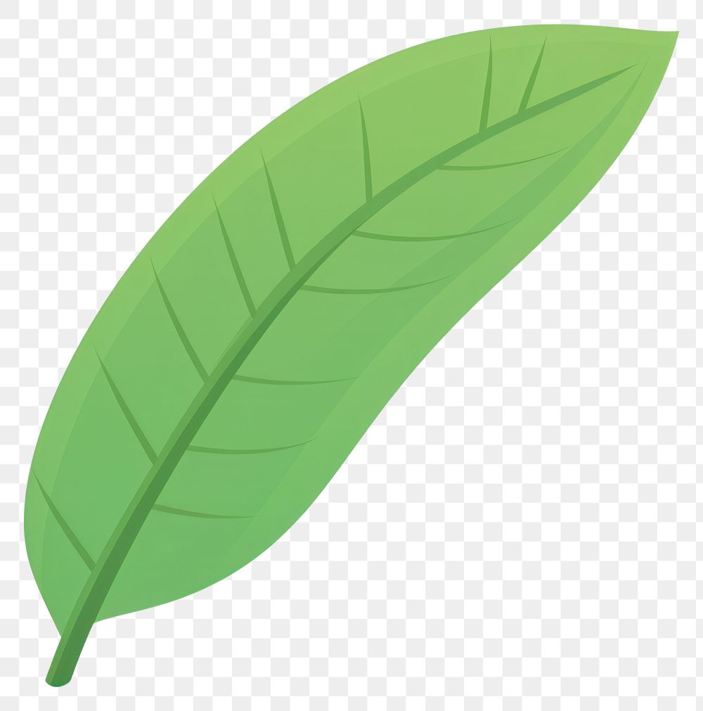 PNG Banana leaf illustration art eco-friendly.