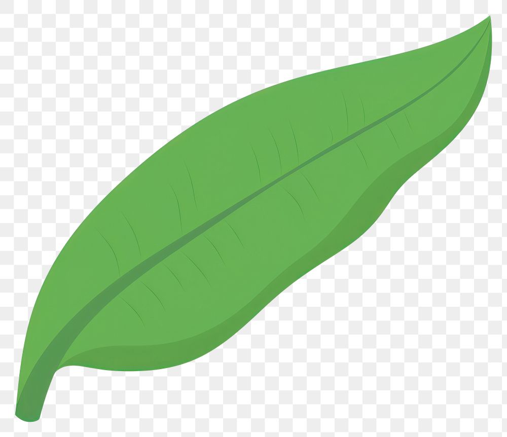 PNG Banana leaf illustration simple eco-friendly.