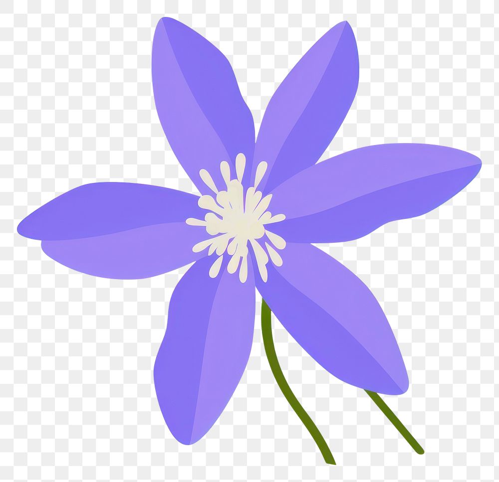 PNG Columbine flower illustration petal art.