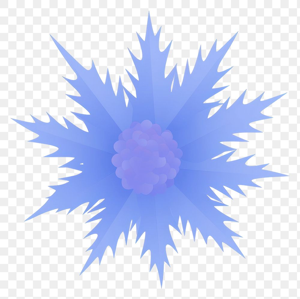 PNG Sea Holly flower art illustration outdoors.