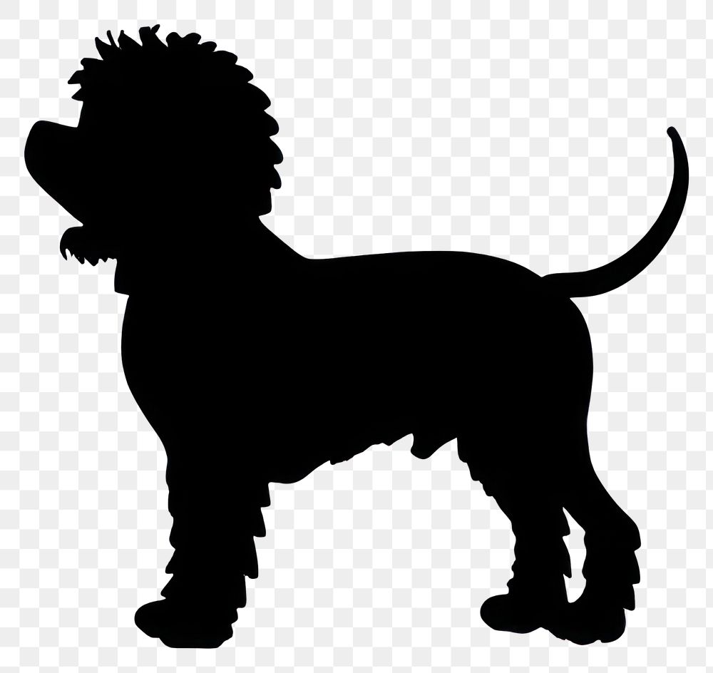 PNG Collection portrait Poodle dog silhouette illustration animal.