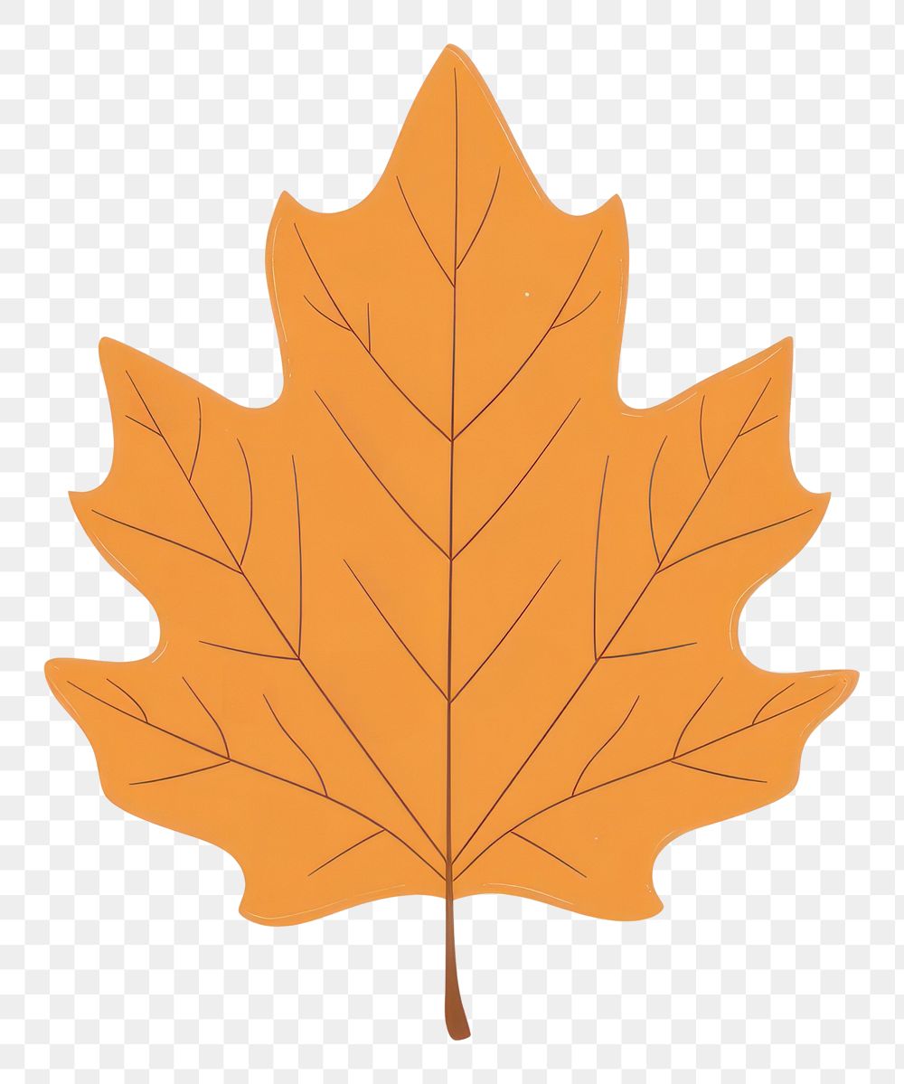 PNG Autumn hickory leaf illustration simple fall.