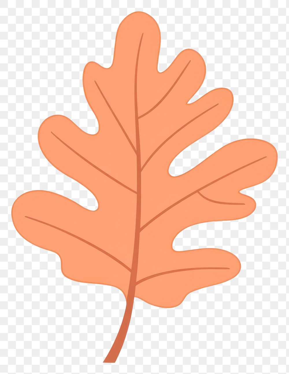 PNG Peach orange oak leaf illustration simple autumn.