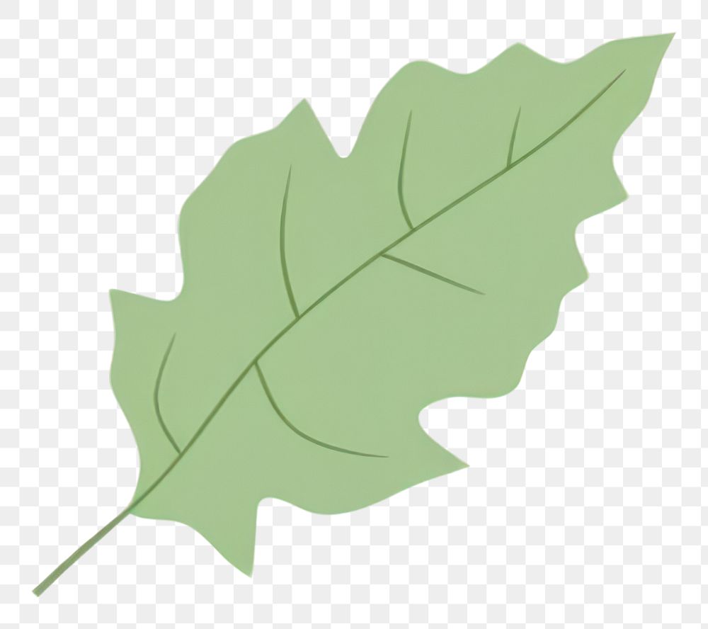 PNG Leaf illustration simple design.