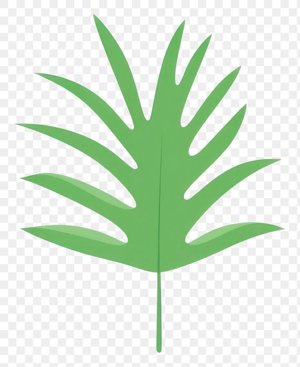 PNG Tropical leaves leaf illustration herbal.