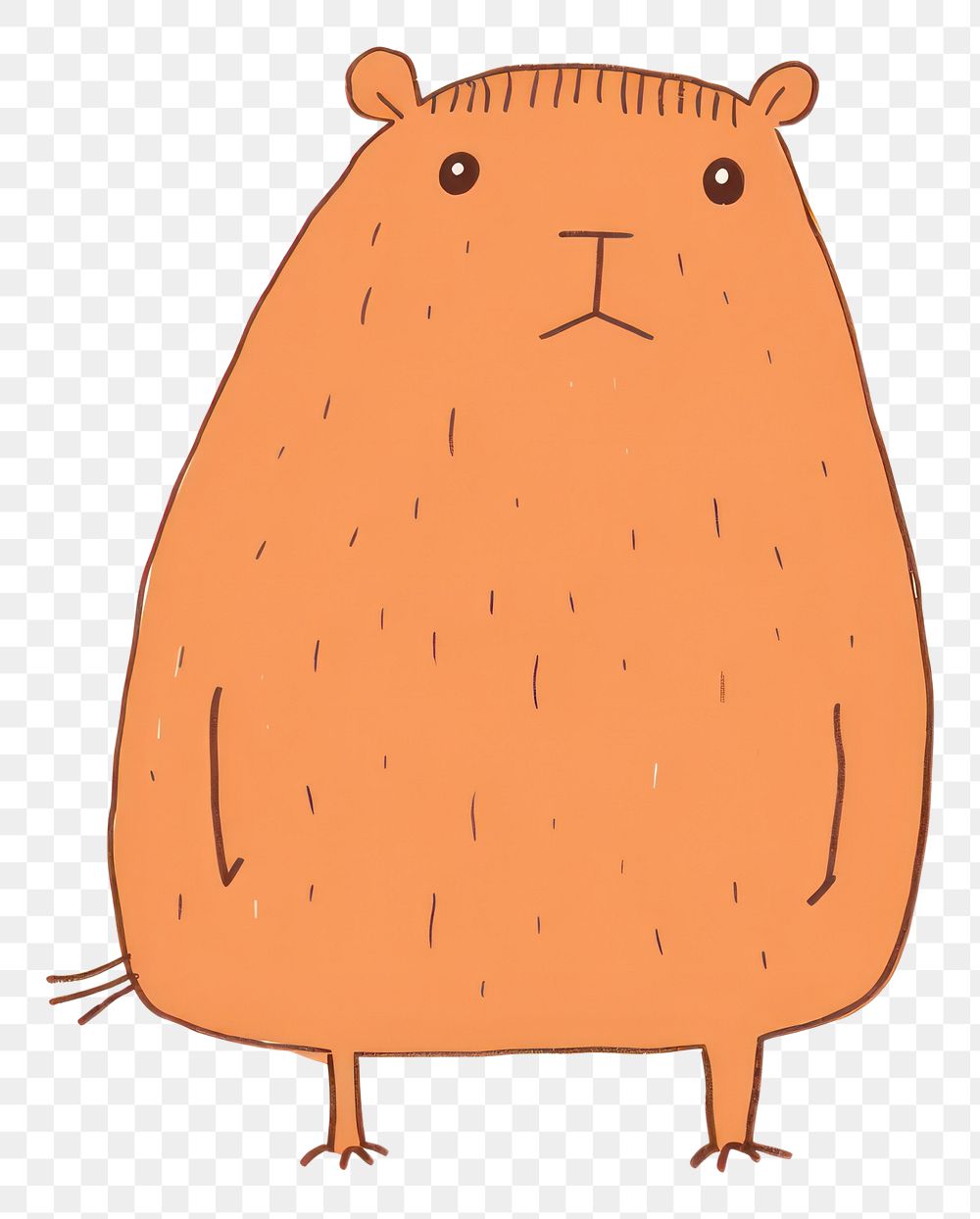 PNG Capybara hamster cartoon animal.