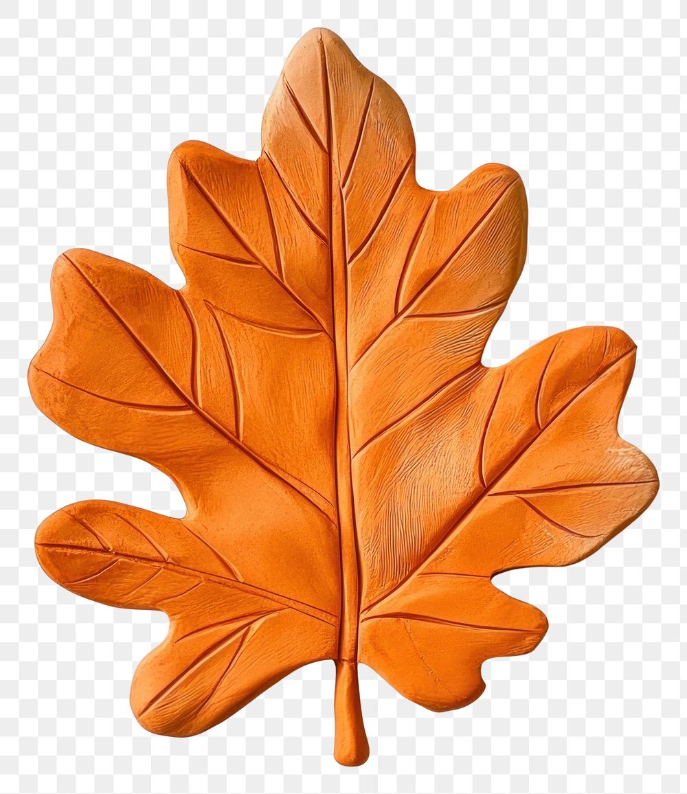 PNG Orange Leaf leaf decoration vegetable.