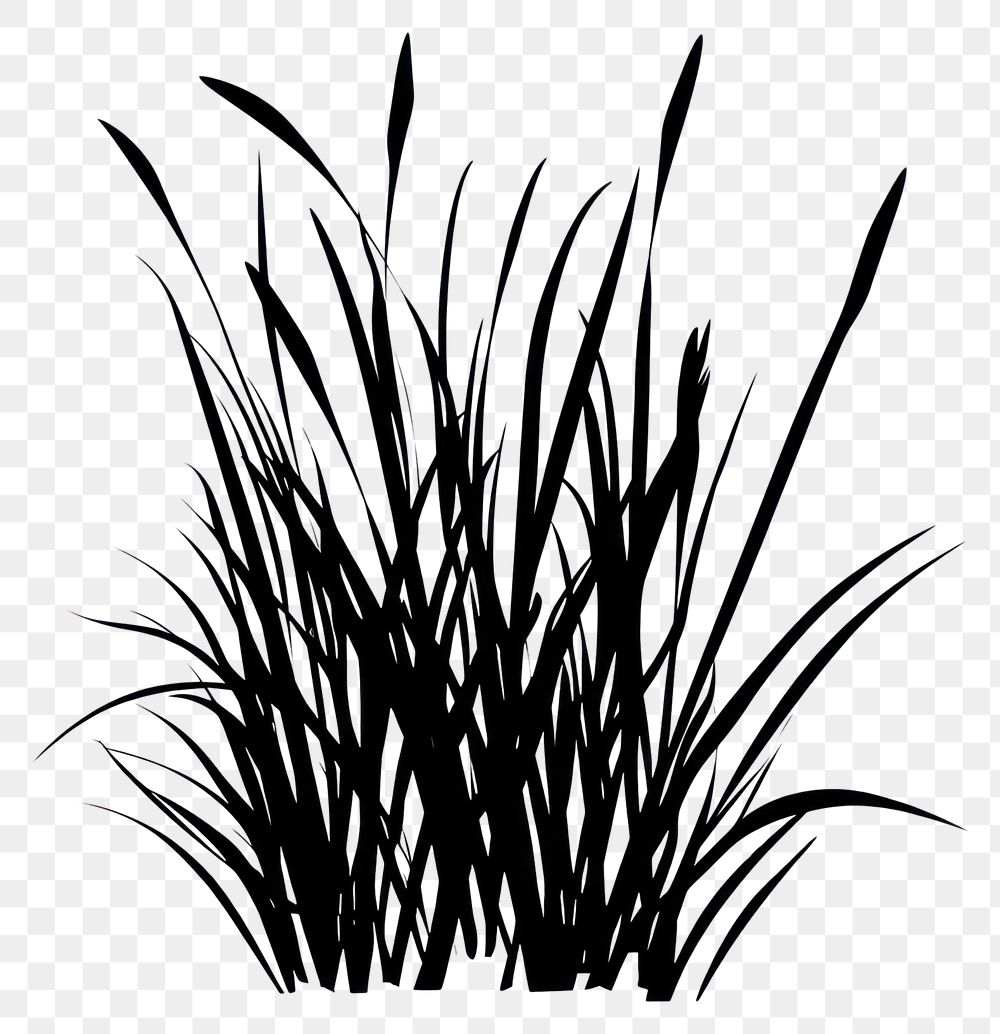 PNG Silhouette of grass silhouette art black.