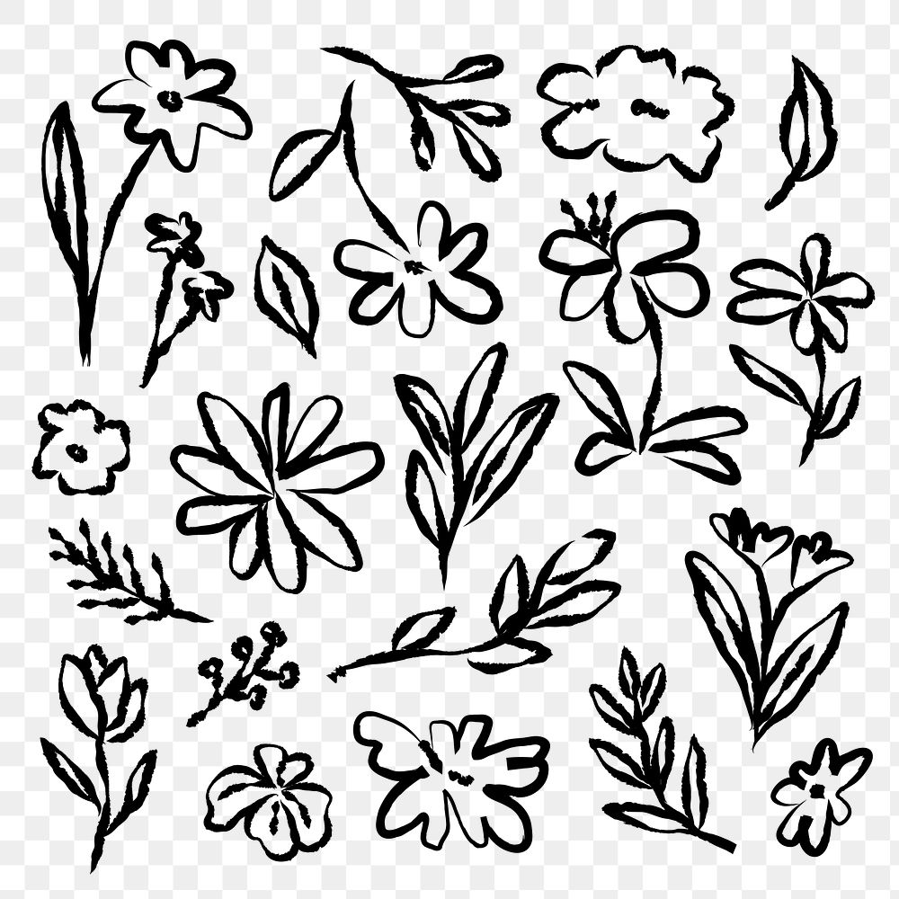 PNG Hand-drawn floral doodle collection on transparent background