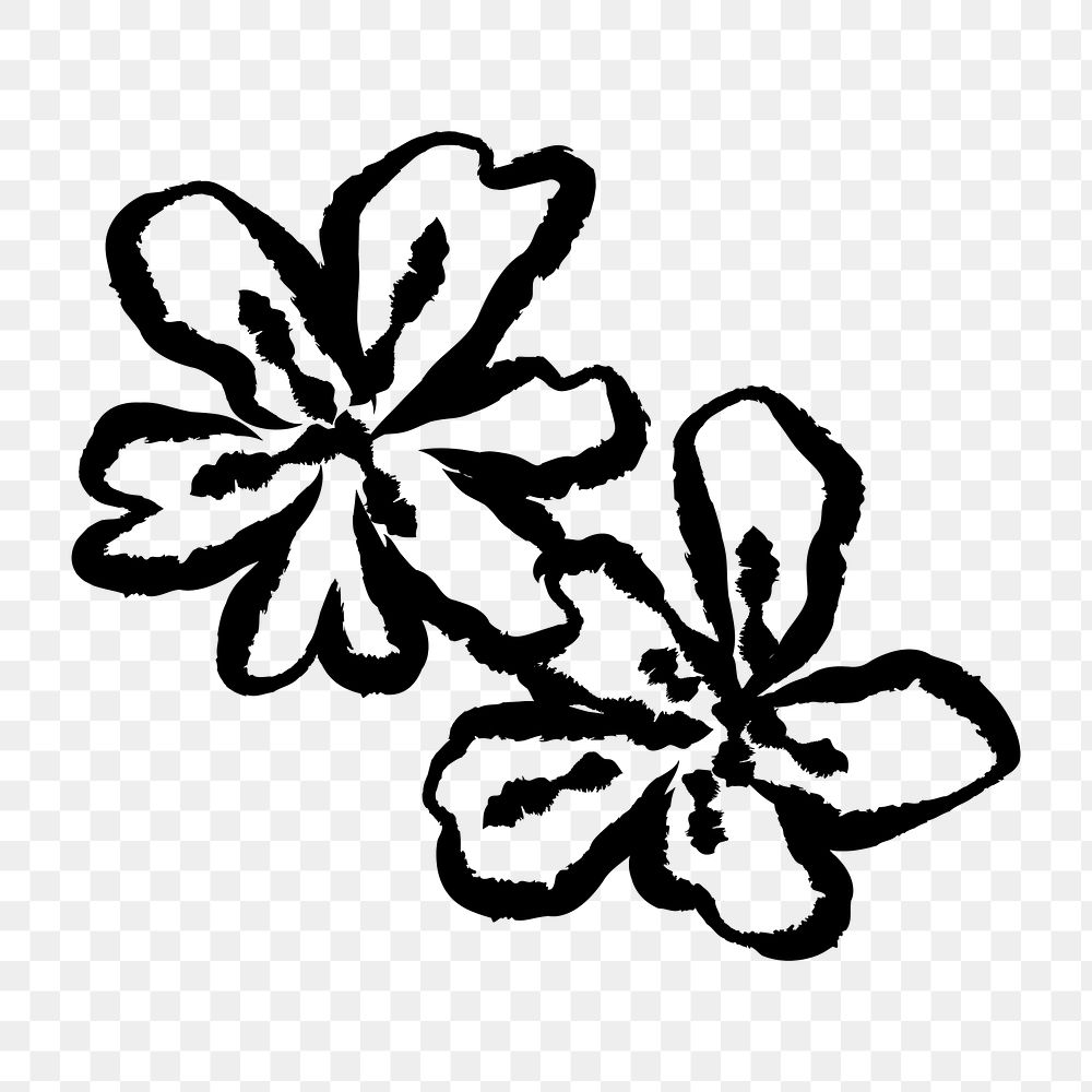 PNG Hand-drawn floral line art on transparent background