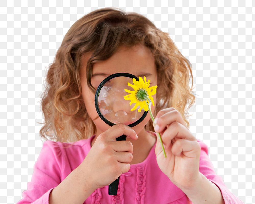 Png girl examining daisy sticker, education transparent background