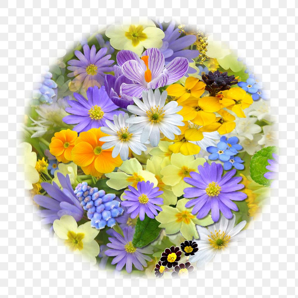 Colorful flowers png badge sticker, Spring photo in   soft edge circle, transparent background