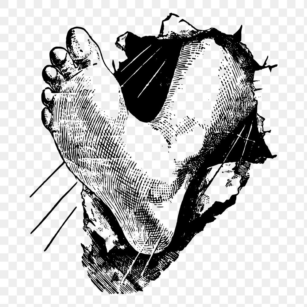 Foot stomp png sticker, vintage illustration on transparent background. Free public domain CC0 image.