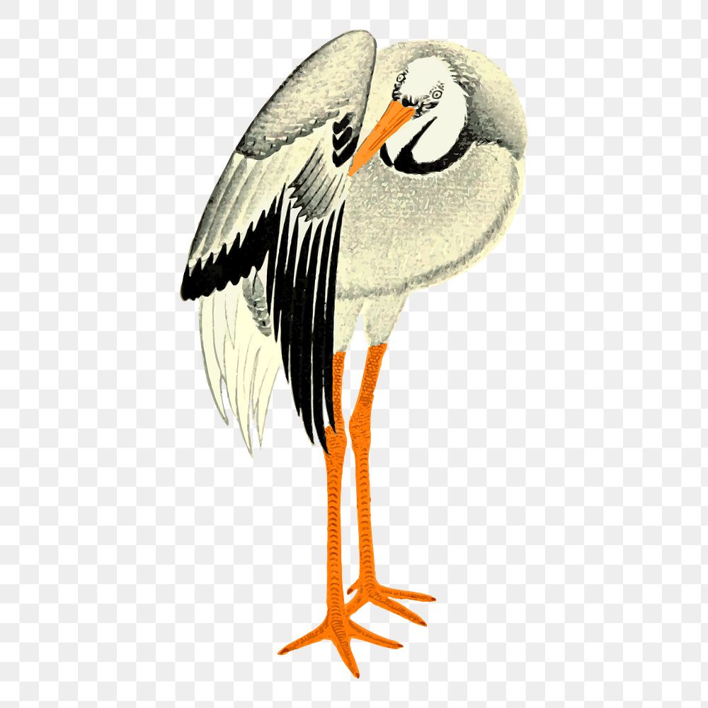 Stork bird png sticker, vintage animal illustration on transparent background. Free public domain CC0 image.